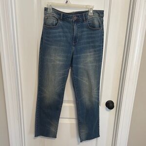 J Jill straight leg jeans